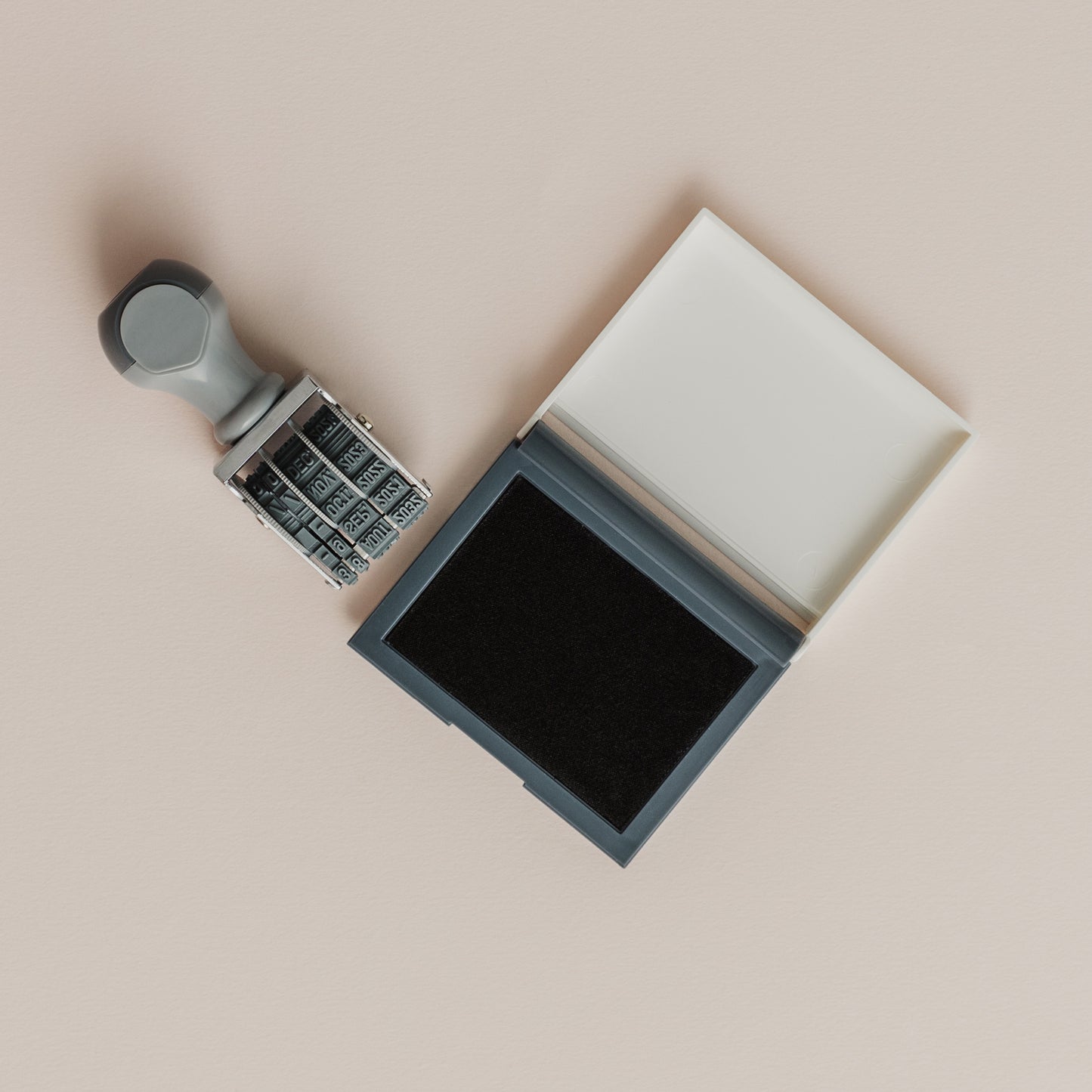 Les petites bêtes de la mer