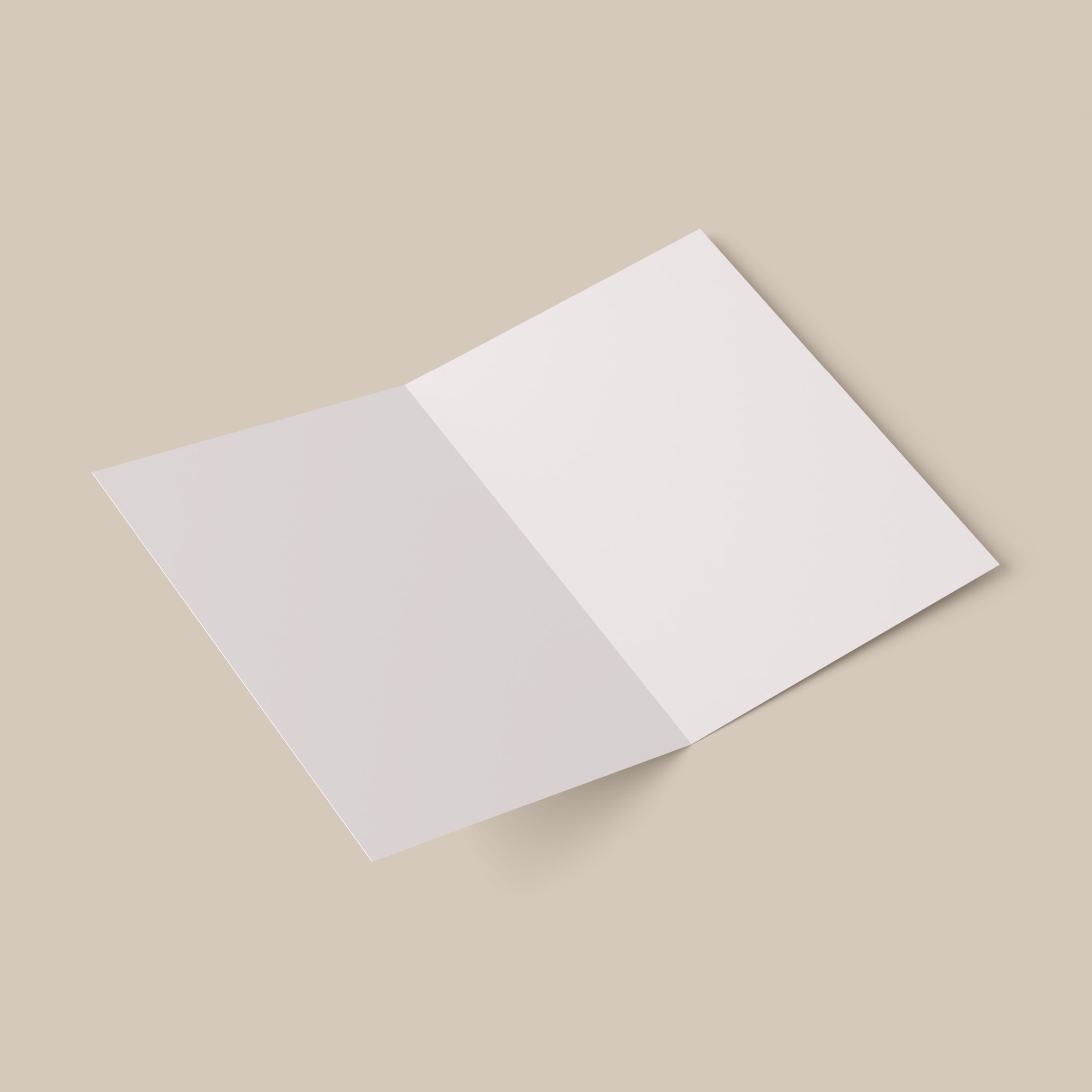 Bon pour une soirée entre copines-zoom-2